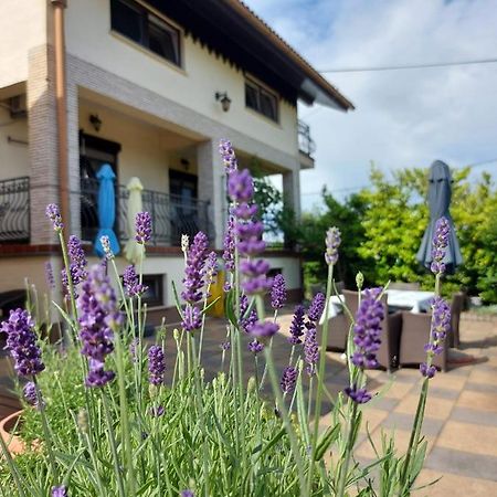 Apartman Nada Ozalj Dış mekan fotoğraf